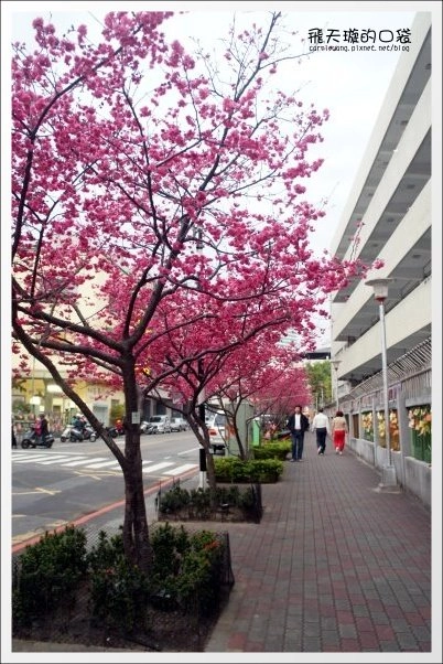 【台中牛肉麵推薦】牛佬牛肉麵專門店。讓不愛吃牛肉麵的我，也愛上了牛肉麵&hellip;❤(同場加映：2013文昌國小櫻花季) @飛天璇的口袋