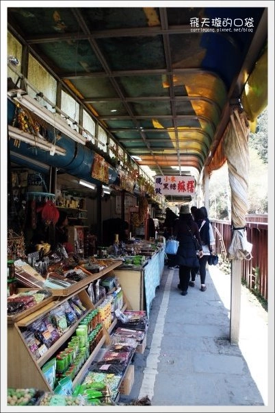 【嘉義】2013阿里山櫻花季(3/15~4/15)。分享3/9最新花況，吉野櫻の櫻王已經開了哦！ @飛天璇的口袋