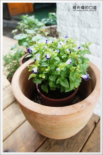 【台中下午茶】Connie’s Cafe。媲美鑽石的3CM超厚鬆餅 @飛天璇的口袋