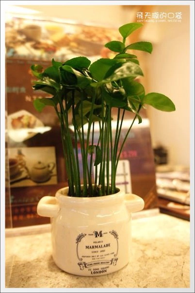 【台中下午茶】Connie’s Cafe。媲美鑽石的3CM超厚鬆餅 @飛天璇的口袋