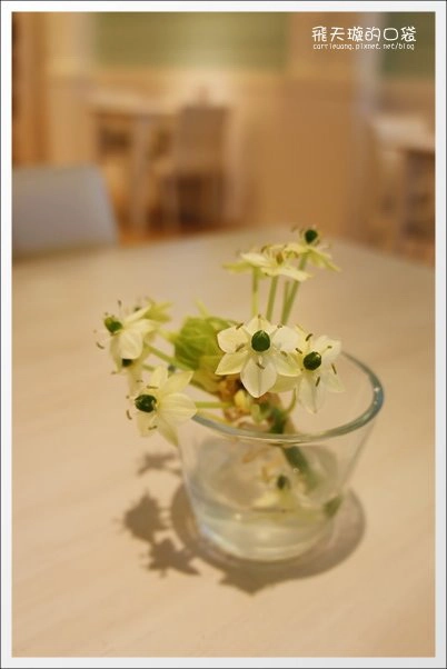 【台中下午茶】Connie’s Cafe。媲美鑽石的3CM超厚鬆餅 @飛天璇的口袋