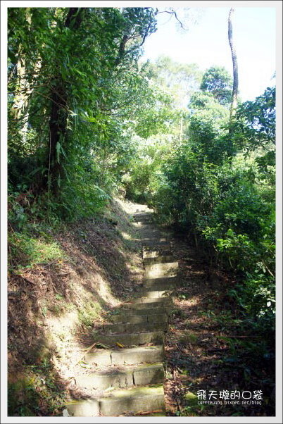 【苗栗民宿推薦】三義．雲洞山莊。徜揚在雲霧的懷抱+一泊二食的美食饗宴 @飛天璇的口袋