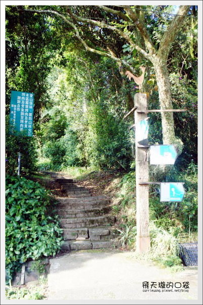 【苗栗民宿推薦】三義．雲洞山莊。徜揚在雲霧的懷抱+一泊二食的美食饗宴 @飛天璇的口袋