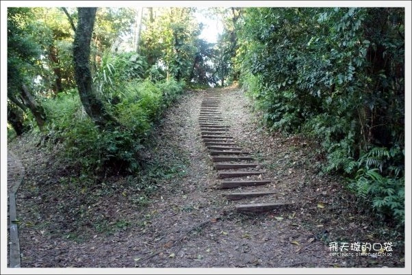 【苗栗民宿推薦】三義．雲洞山莊。徜揚在雲霧的懷抱+一泊二食的美食饗宴 @飛天璇的口袋