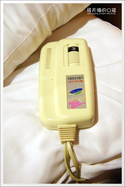 【清境民宿推薦】嵐山小鎮。海拔2000多公尺的歐洲鄉村風民宿 @飛天璇的口袋