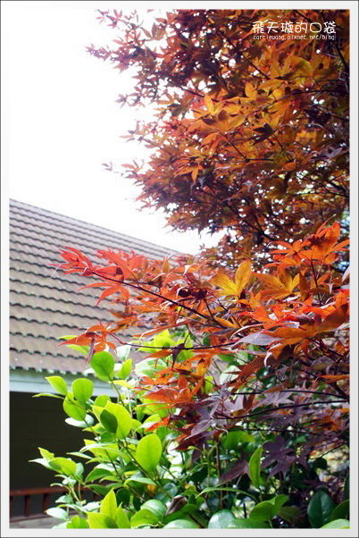 【清境民宿推薦】嵐山小鎮。海拔2000多公尺的歐洲鄉村風民宿 @飛天璇的口袋