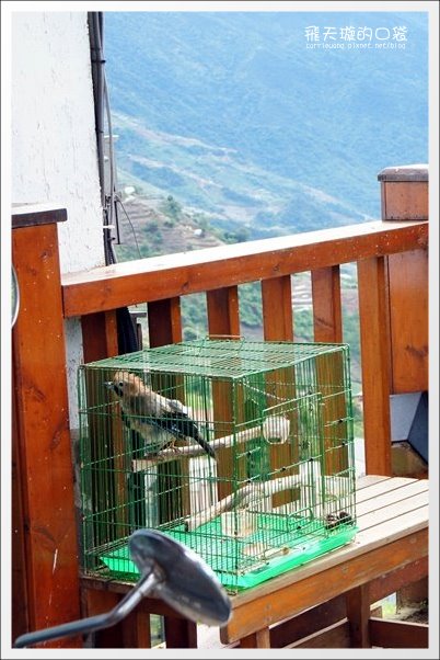 【清境民宿推薦】嵐山小鎮。海拔2000多公尺的歐洲鄉村風民宿 @飛天璇的口袋