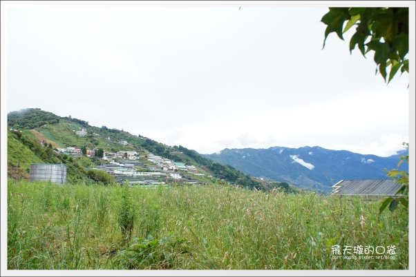 【清境民宿推薦】嵐山小鎮。海拔2000多公尺的歐洲鄉村風民宿 @飛天璇的口袋