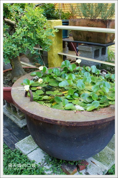 【台中下午茶】時光咖啡。這家鬆餅可以排進我心中台中鬆餅界的前三名 @飛天璇的口袋