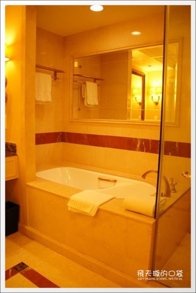 【澳門氹仔】威尼斯人渡假村酒店．The Venetian Hotel @飛天璇的口袋