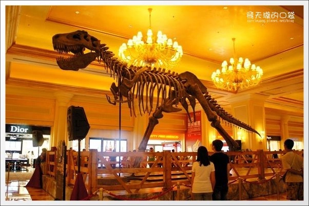 【澳門氹仔】威尼斯人渡假村酒店．The Venetian Hotel @飛天璇的口袋