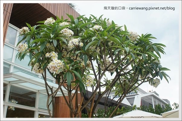 【台中餐廳推薦】梨子咖啡館@崇德店。溫馨樂活親子餐廳推薦！ @飛天璇的口袋