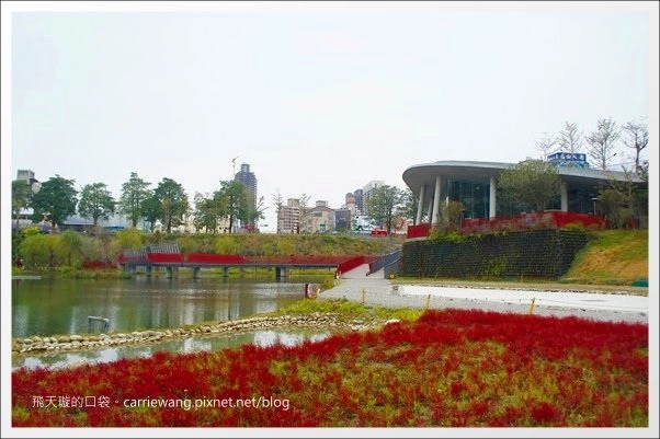 【台中西屯】秋紅谷生態公園：台中火紅新地標，美麗的約會聖地！ @飛天璇的口袋