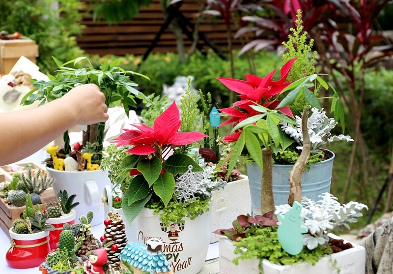 2016台中花都藝術季┃台中旅遊景點：2018花卉博覽會前哨，位於台中文學館，用花朵實踐生活美學，喜迎2018世界花卉博覽會 @飛天璇的口袋