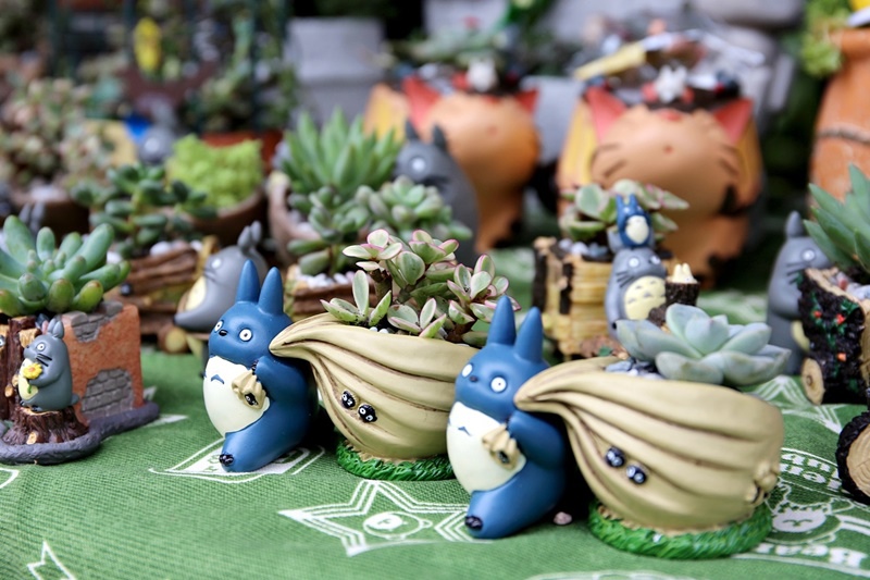 2016台中花都藝術季┃台中旅遊景點：2018花卉博覽會前哨，位於台中文學館，用花朵實踐生活美學，喜迎2018世界花卉博覽會 @飛天璇的口袋