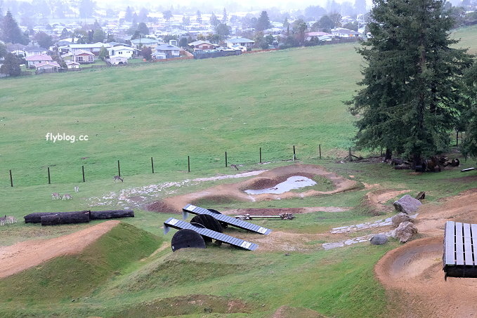 紐西蘭羅托魯瓦｜Rotorua Skyline．搭乘空中纜車到Mt. Ngongotaha，俯瞰羅托魯瓦城市地熱風情 @飛天璇的口袋