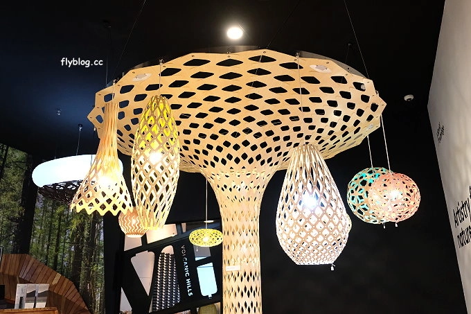 紐西蘭羅托魯瓦｜Rotorua Skyline．搭乘空中纜車到Mt. Ngongotaha，俯瞰羅托魯瓦城市地熱風情 @飛天璇的口袋