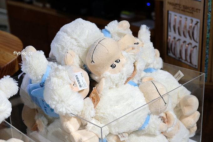 紐西蘭羅托魯瓦｜Rotorua Skyline．搭乘空中纜車到Mt. Ngongotaha，俯瞰羅托魯瓦城市地熱風情 @飛天璇的口袋