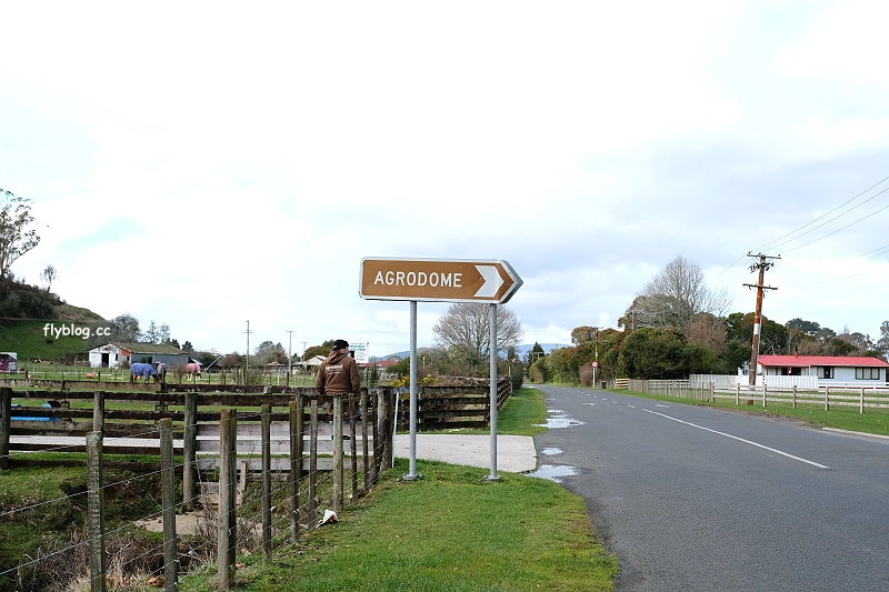 紐西蘭羅托魯瓦｜Agrodome Farm 愛歌頓農場．紐西蘭最大牧場，被綿羊和草泥馬包圍了 @飛天璇的口袋