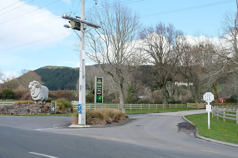 紐西蘭羅托魯瓦｜Agrodome Farm 愛歌頓農場．紐西蘭最大牧場，被綿羊和草泥馬包圍了 @飛天璇的口袋