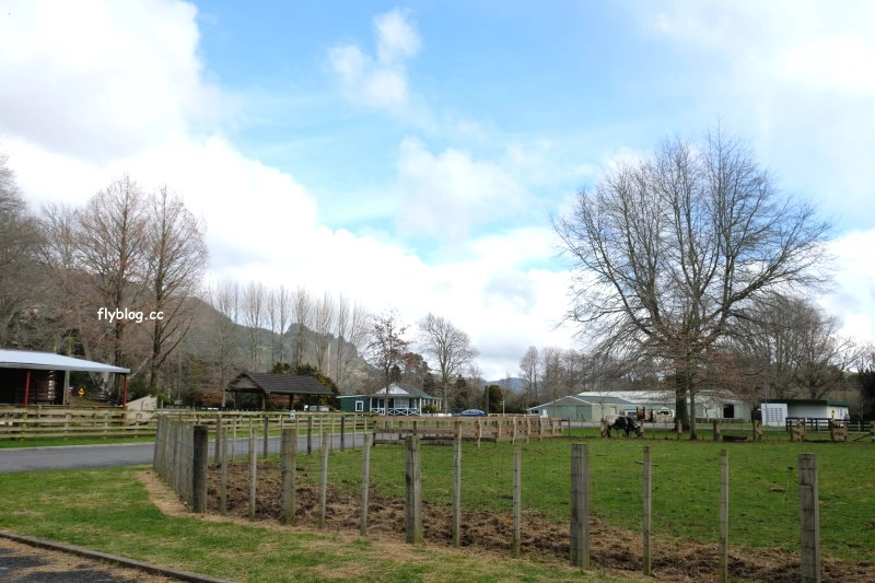 紐西蘭羅托魯瓦｜Agrodome Farm 愛歌頓農場．紐西蘭最大牧場，被綿羊和草泥馬包圍了 @飛天璇的口袋
