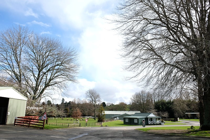 紐西蘭羅托魯瓦｜Agrodome Farm 愛歌頓農場．紐西蘭最大牧場，被綿羊和草泥馬包圍了 @飛天璇的口袋