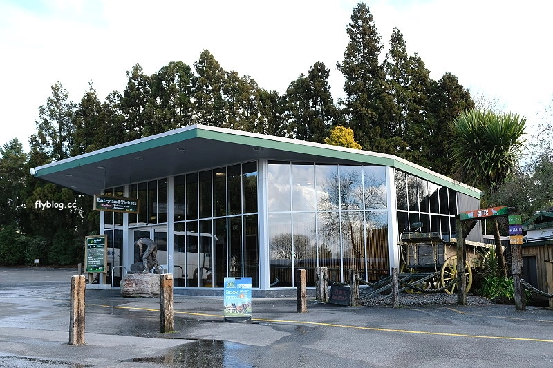 紐西蘭羅托魯瓦｜Agrodome Farm 愛歌頓農場．紐西蘭最大牧場，被綿羊和草泥馬包圍了 @飛天璇的口袋