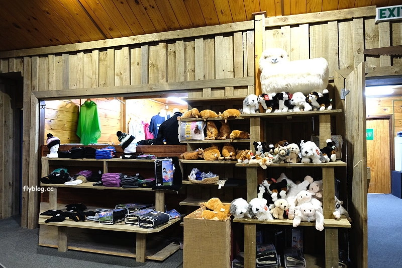 紐西蘭羅托魯瓦｜Agrodome Farm 愛歌頓農場．紐西蘭最大牧場，被綿羊和草泥馬包圍了 @飛天璇的口袋