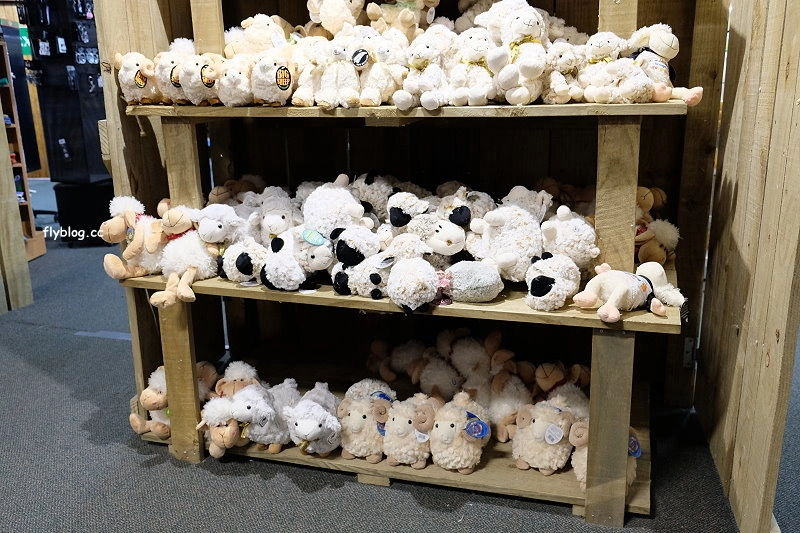 紐西蘭羅托魯瓦｜Agrodome Farm 愛歌頓農場．紐西蘭最大牧場，被綿羊和草泥馬包圍了 @飛天璇的口袋