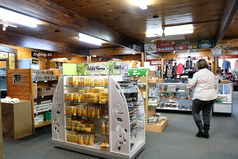 紐西蘭羅托魯瓦｜Agrodome Farm 愛歌頓農場．紐西蘭最大牧場，被綿羊和草泥馬包圍了 @飛天璇的口袋