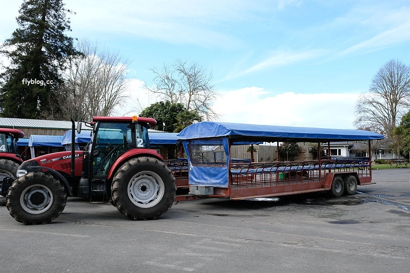 紐西蘭羅托魯瓦｜Agrodome Farm 愛歌頓農場．紐西蘭最大牧場，被綿羊和草泥馬包圍了 @飛天璇的口袋