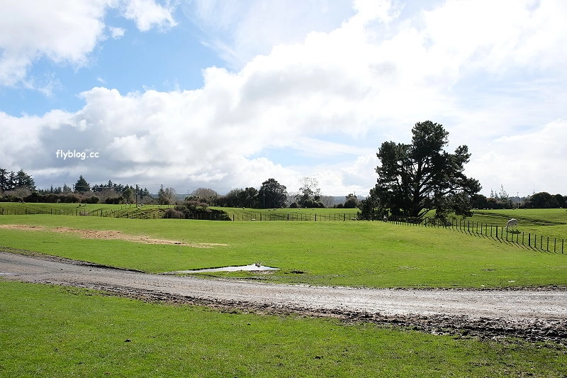 紐西蘭羅托魯瓦｜Agrodome Farm 愛歌頓農場．紐西蘭最大牧場，被綿羊和草泥馬包圍了 @飛天璇的口袋
