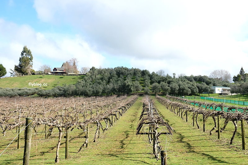 紐西蘭羅托魯瓦｜Agrodome Farm 愛歌頓農場．紐西蘭最大牧場，被綿羊和草泥馬包圍了 @飛天璇的口袋