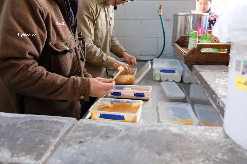 紐西蘭羅托魯瓦｜Agrodome Farm 愛歌頓農場．紐西蘭最大牧場，被綿羊和草泥馬包圍了 @飛天璇的口袋