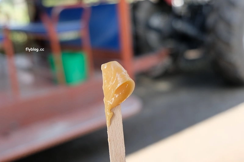 紐西蘭羅托魯瓦｜Agrodome Farm 愛歌頓農場．紐西蘭最大牧場，被綿羊和草泥馬包圍了 @飛天璇的口袋