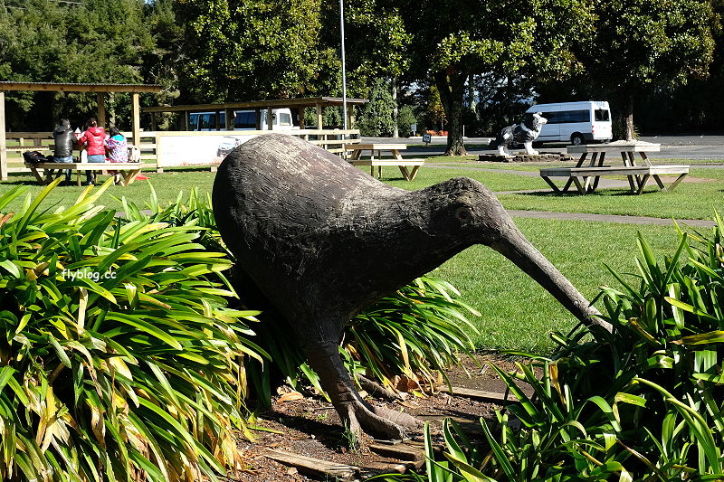 紐西蘭羅托魯瓦｜Agrodome Farm 愛歌頓農場．紐西蘭最大牧場，被綿羊和草泥馬包圍了 @飛天璇的口袋