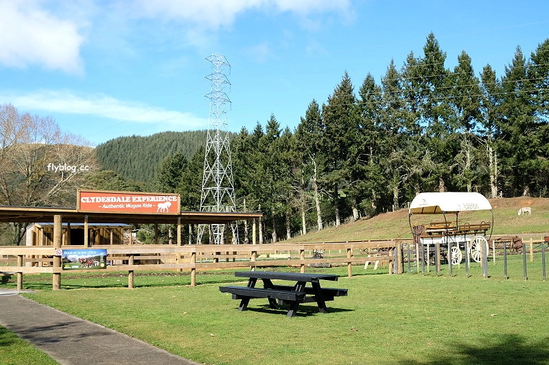 紐西蘭羅托魯瓦｜Agrodome Farm 愛歌頓農場．紐西蘭最大牧場，被綿羊和草泥馬包圍了 @飛天璇的口袋