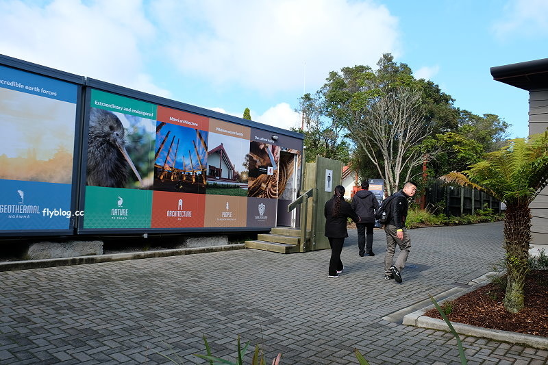 紐西蘭羅托魯瓦｜阿蒂普亞毛利文化園區 Te Puia．體驗紐西蘭毛利文化，品嚐地熱溫泉料理 @飛天璇的口袋