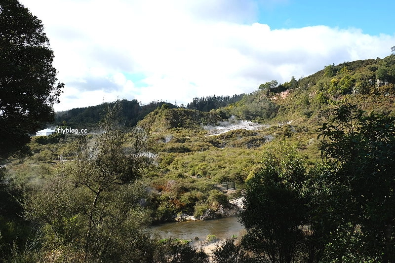 紐西蘭羅托魯瓦｜阿蒂普亞毛利文化園區 Te Puia．體驗紐西蘭毛利文化，品嚐地熱溫泉料理 @飛天璇的口袋