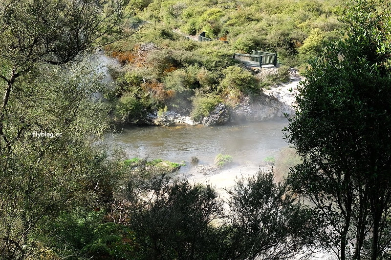 紐西蘭羅托魯瓦｜阿蒂普亞毛利文化園區 Te Puia．體驗紐西蘭毛利文化，品嚐地熱溫泉料理 @飛天璇的口袋