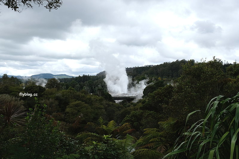 紐西蘭羅托魯瓦｜阿蒂普亞毛利文化園區 Te Puia．體驗紐西蘭毛利文化，品嚐地熱溫泉料理 @飛天璇的口袋