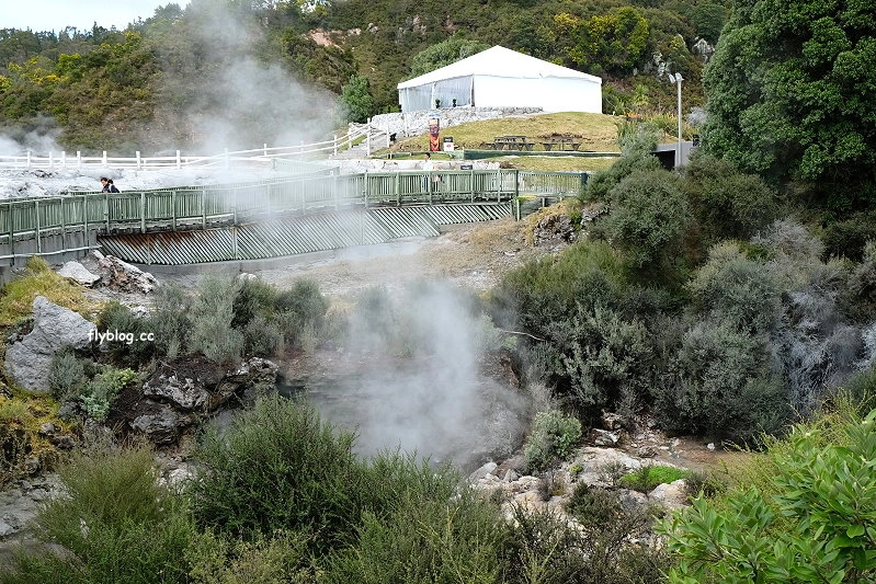 紐西蘭羅托魯瓦｜阿蒂普亞毛利文化園區 Te Puia．體驗紐西蘭毛利文化，品嚐地熱溫泉料理 @飛天璇的口袋
