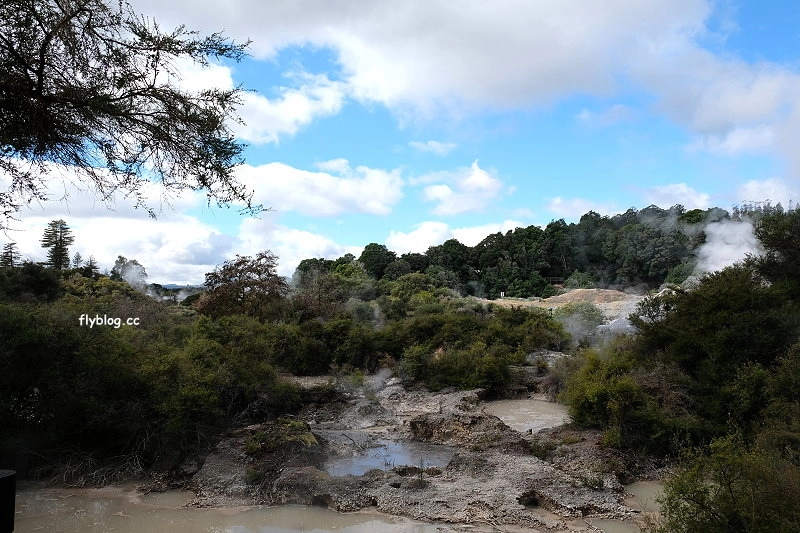 紐西蘭羅托魯瓦｜阿蒂普亞毛利文化園區 Te Puia．體驗紐西蘭毛利文化，品嚐地熱溫泉料理 @飛天璇的口袋