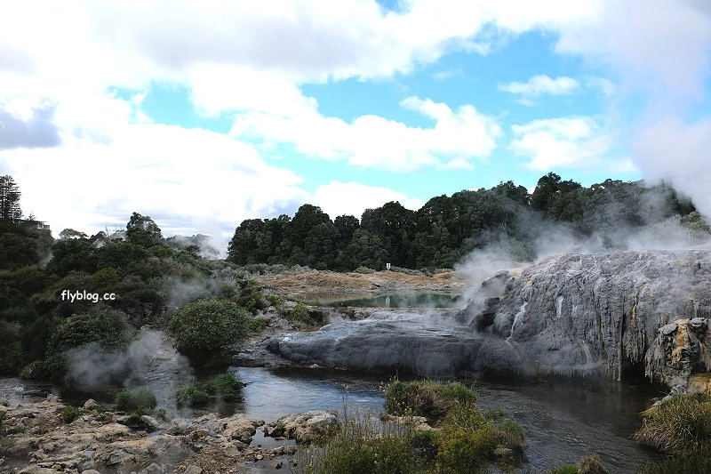 紐西蘭羅托魯瓦｜阿蒂普亞毛利文化園區 Te Puia．體驗紐西蘭毛利文化，品嚐地熱溫泉料理 @飛天璇的口袋