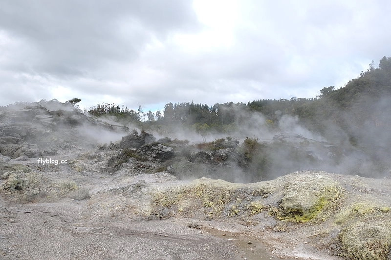 紐西蘭羅托魯瓦｜阿蒂普亞毛利文化園區 Te Puia．體驗紐西蘭毛利文化，品嚐地熱溫泉料理 @飛天璇的口袋