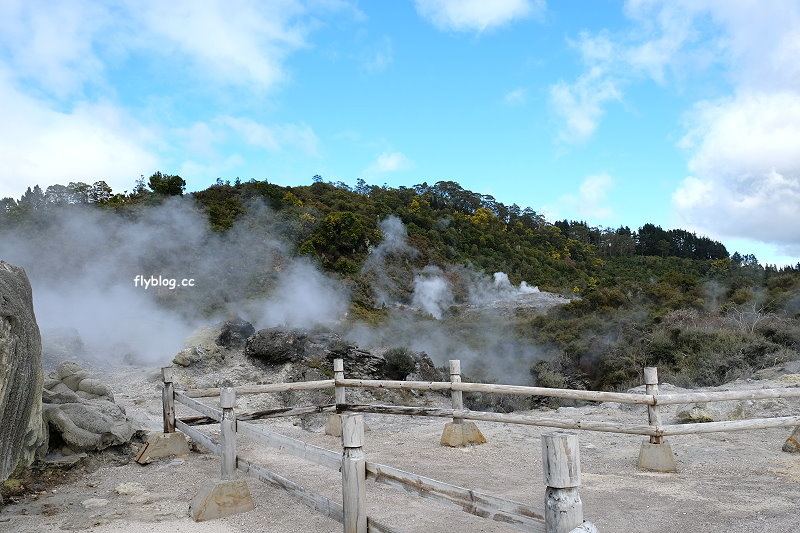 紐西蘭羅托魯瓦｜阿蒂普亞毛利文化園區 Te Puia．體驗紐西蘭毛利文化，品嚐地熱溫泉料理 @飛天璇的口袋