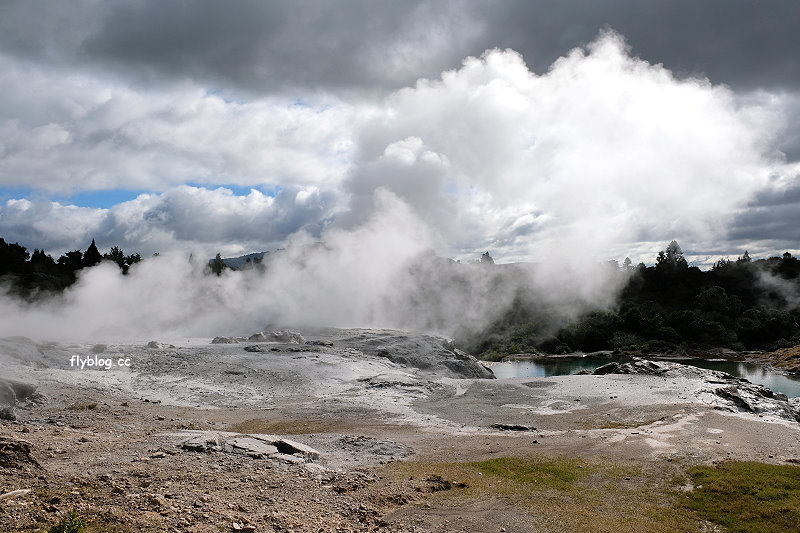 紐西蘭羅托魯瓦｜阿蒂普亞毛利文化園區 Te Puia．體驗紐西蘭毛利文化，品嚐地熱溫泉料理 @飛天璇的口袋