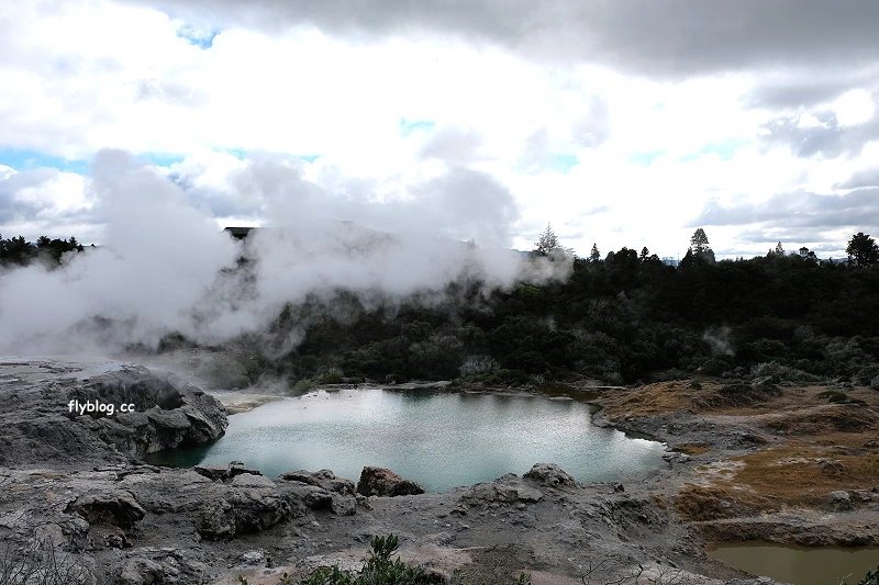 紐西蘭羅托魯瓦｜阿蒂普亞毛利文化園區 Te Puia．體驗紐西蘭毛利文化，品嚐地熱溫泉料理 @飛天璇的口袋