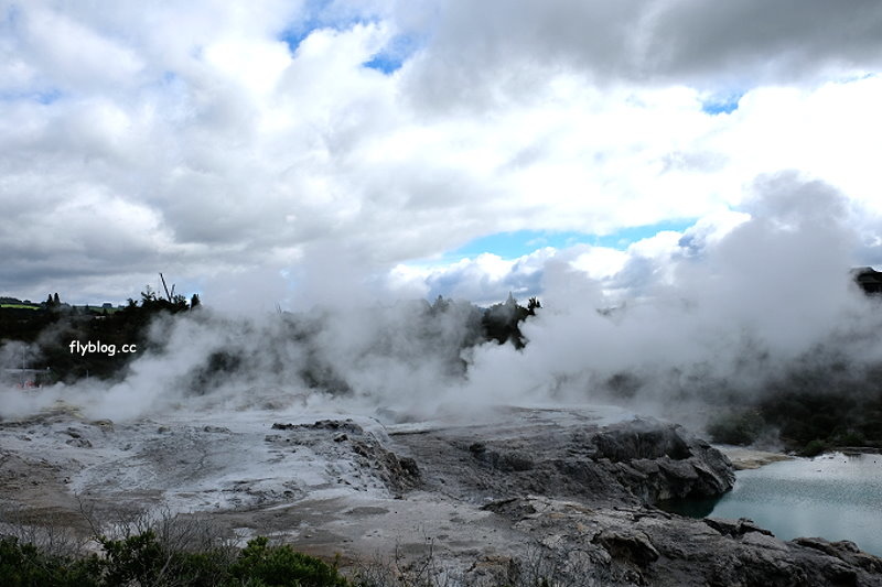 紐西蘭羅托魯瓦｜阿蒂普亞毛利文化園區 Te Puia．體驗紐西蘭毛利文化，品嚐地熱溫泉料理 @飛天璇的口袋