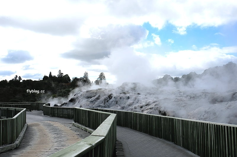 紐西蘭羅托魯瓦｜阿蒂普亞毛利文化園區 Te Puia．體驗紐西蘭毛利文化，品嚐地熱溫泉料理 @飛天璇的口袋